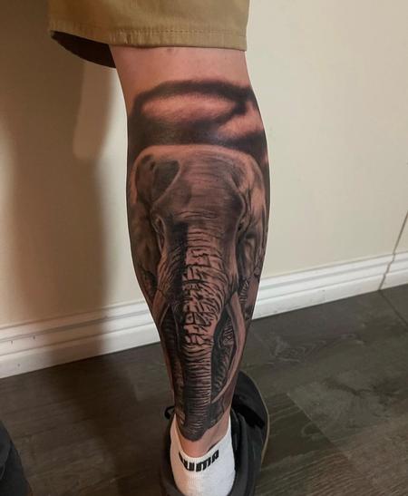 Nature Animal Wildlife - Ryan Cumberledge Elephant